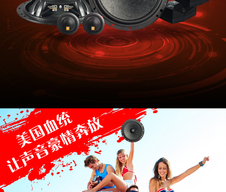 二分频套装喇叭